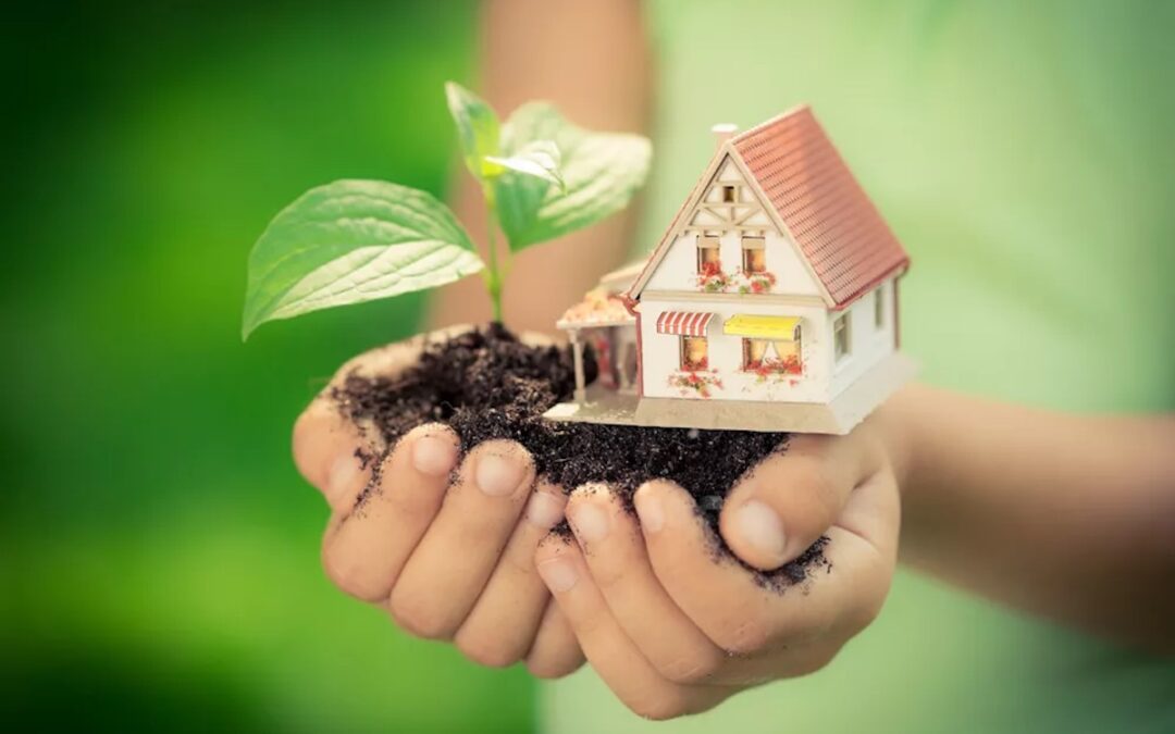 Sustainability and Green Living. Building a Better Future